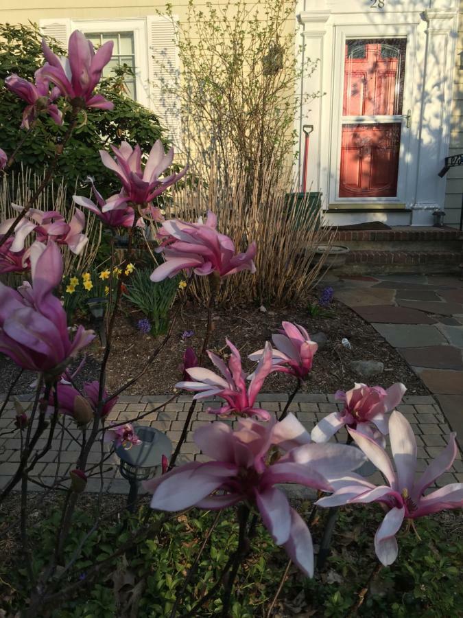 Wellesley Bed And Breakfast Экстерьер фото